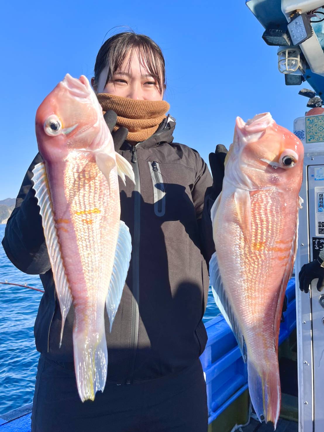 焼津遊漁船天陽丸 アマダイ五目釣りプラン