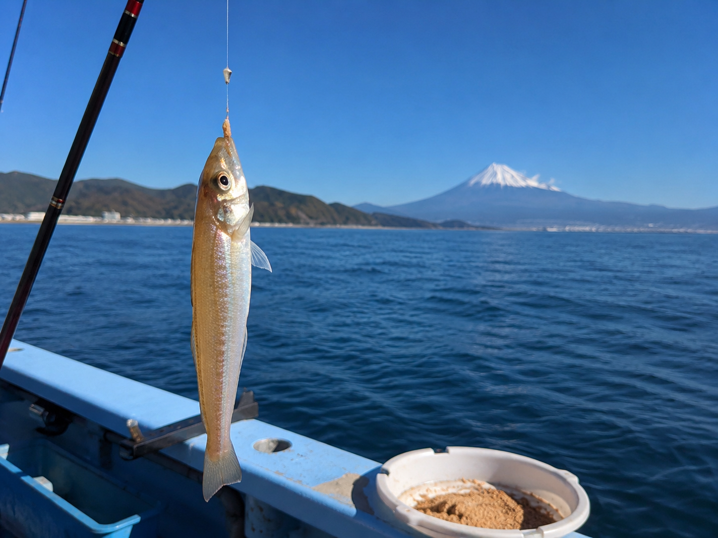 焼津遊漁船天陽丸 ショートキス五目釣りプラン